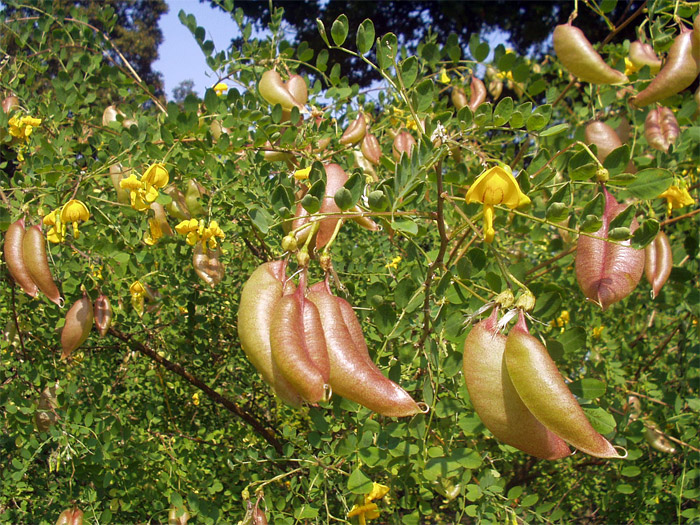 P8040111